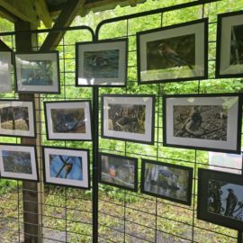 Expo photos du 3 mai 2026
