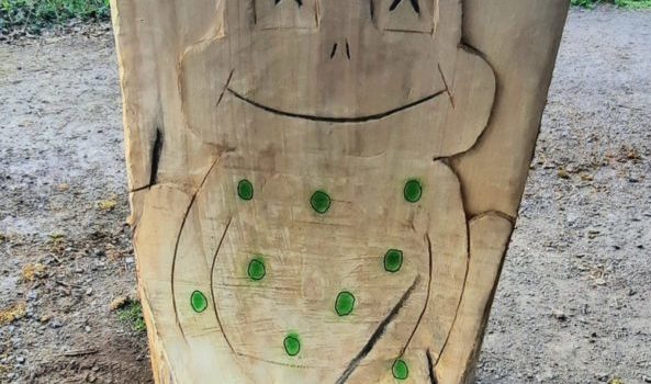 La grenouille mascotte