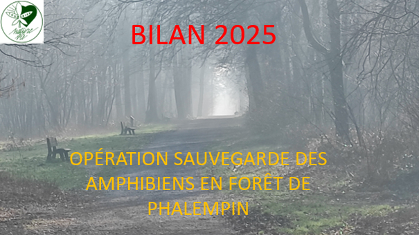 Bilan de l’opération de la sauvegarde des amphibiens