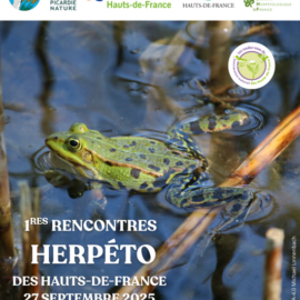 Retour sur les 1ères rencontres herpéto des Hauts de France
