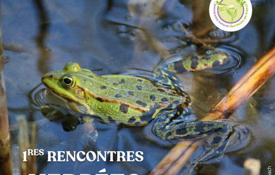 1ères rencontres herpéto des Hauts de France