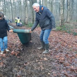 Retour sur la mise en place de la barrière amphibiens en forêt de Phalempin