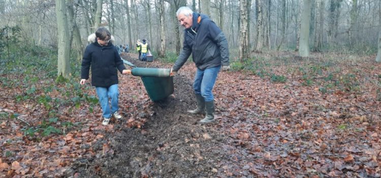 Retour sur la mise en place de la barrière amphibiens en forêt de Phalempin