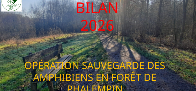 Bilan de l&rsquo;opération de la sauvegarde des amphibiens