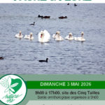 affiche expo photos 2026