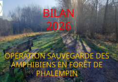 Capture d’écran du 2026-04-28 18-39-50