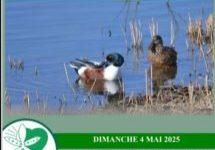 affiche expo photos 2025